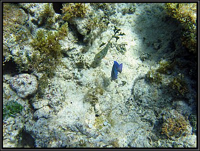 IMG_5428.JPG