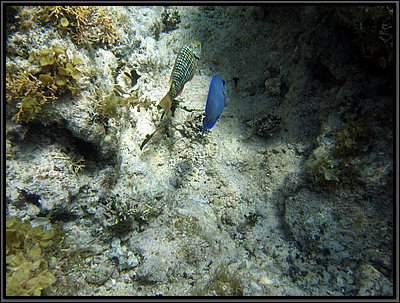 IMG_5429.JPG