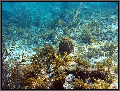 IMG_5430.JPG