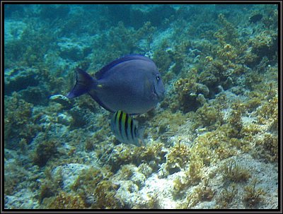 IMG_5431z.jpg