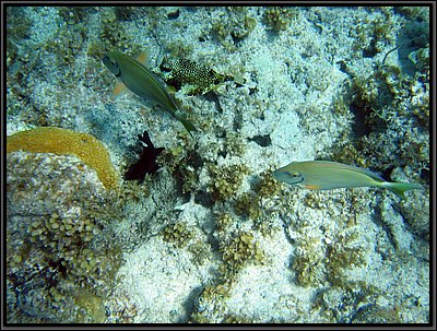 IMG_5435.JPG