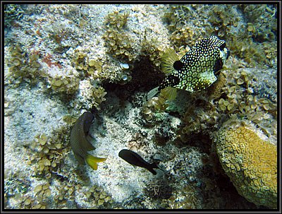 IMG_5437.JPG