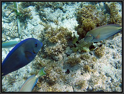 IMG_5440.JPG