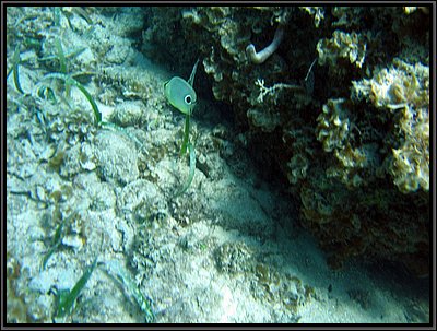 IMG_5445.JPG