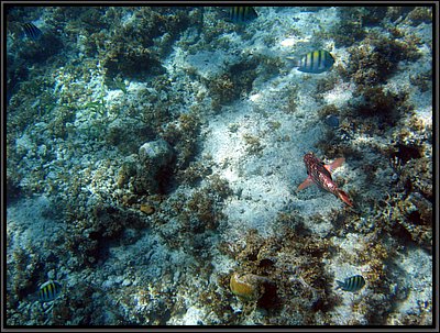 IMG_5449.JPG