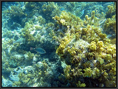 IMG_5455.JPG