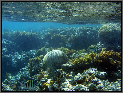 IMG_5458.JPG