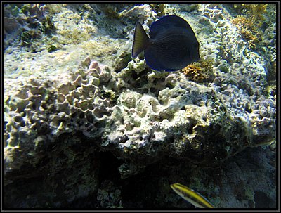 IMG_5463.JPG