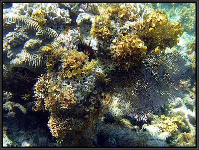 IMG_5465z.jpg