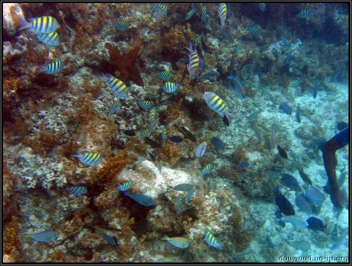 IMG_5599.JPG