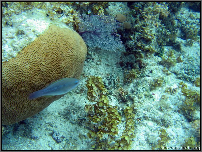 IMG_5604.JPG