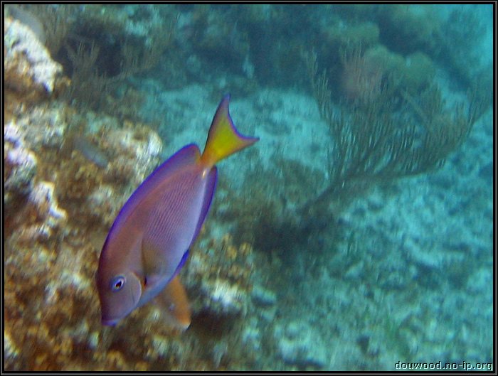 IMG_5628z.jpg