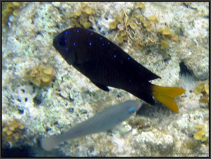 IMG_5633z.jpg
