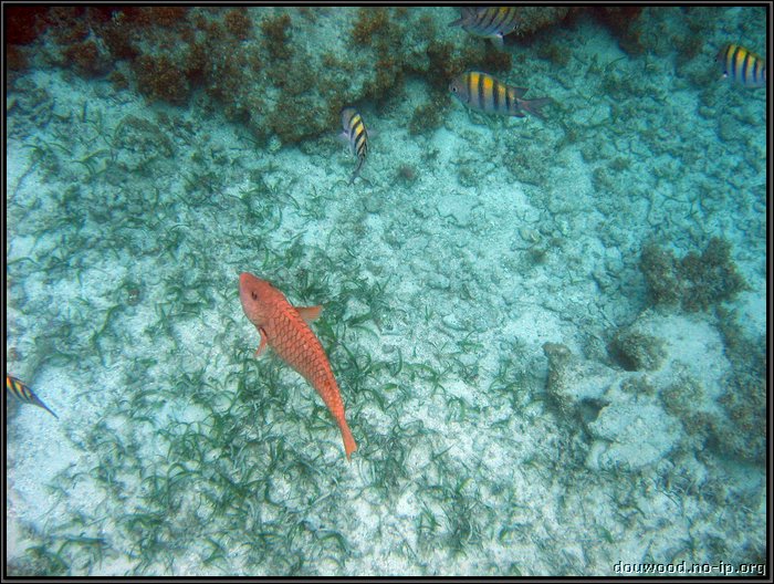 IMG_5653.JPG