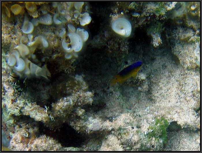 IMG_5663z.jpg
