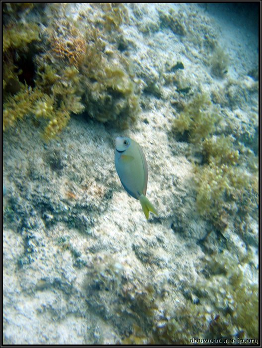 IMG_5712.JPG