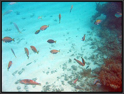 IMG_5578.JPG