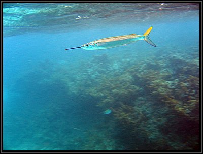 IMG_5584.JPG