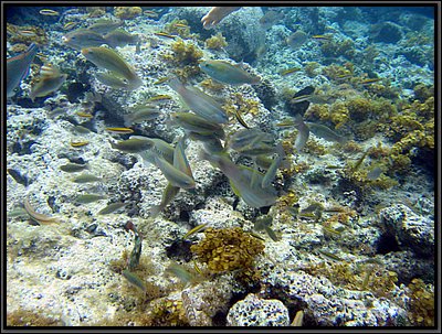 IMG_5591.JPG