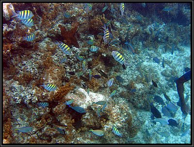 IMG_5599.JPG