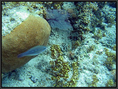 IMG_5604.JPG