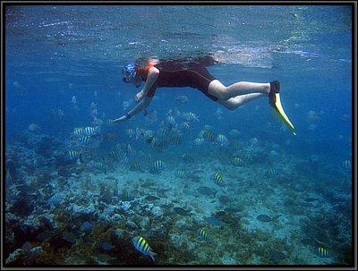 IMG_5622.JPG