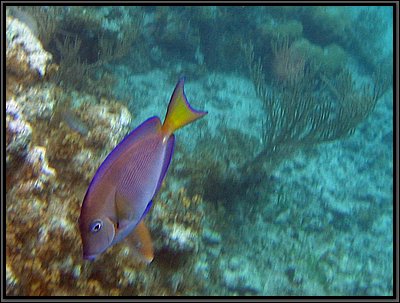 IMG_5628z.jpg