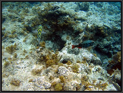 IMG_5629.JPG