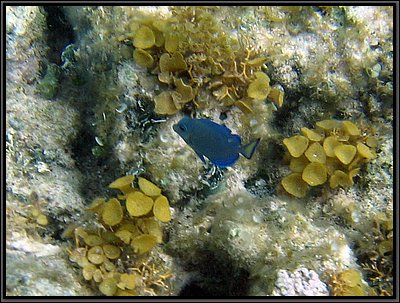IMG_5632z.jpg