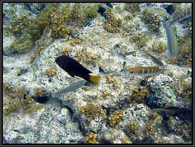 IMG_5633.JPG