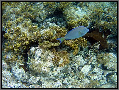 IMG_5637.JPG