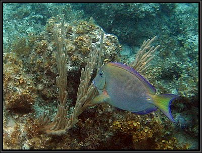 IMG_5640z.jpg