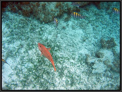 IMG_5653.JPG