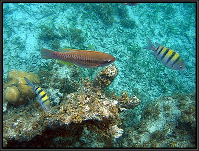 IMG_5656.JPG