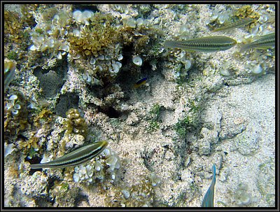 IMG_5663.JPG