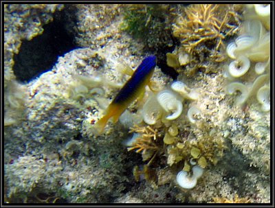 IMG_5670z.jpg