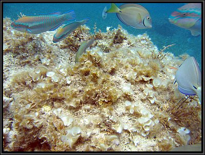 IMG_5681.JPG
