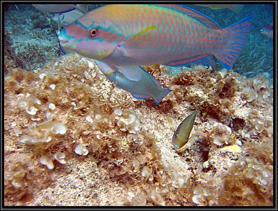 IMG_5682.JPG