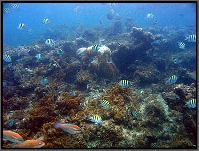 IMG_5684.JPG