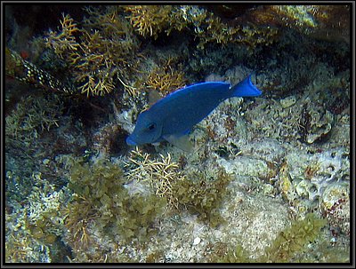IMG_5690z.jpg