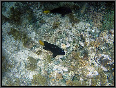IMG_5696.JPG
