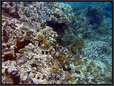 IMG_5697.JPG
