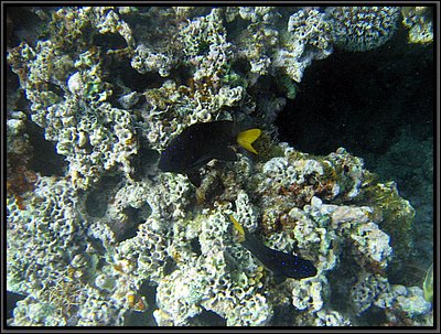 IMG_5701.JPG