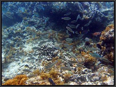 IMG_5703.JPG