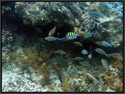 IMG_5704.JPG