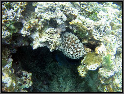 IMG_5706.JPG
