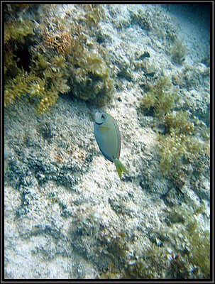 IMG_5712.JPG