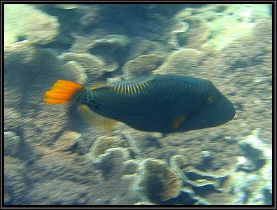 IMG_6235.jpg IMG_6235.jpg