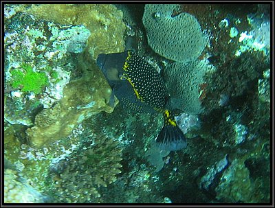 IMG_6413.jpg IMG_6413.jpg