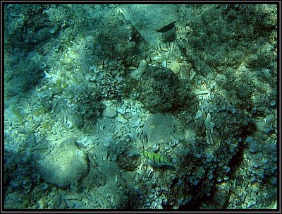 img_6726 (Modifiée).jpg img_6726 (Modifiée).jpg